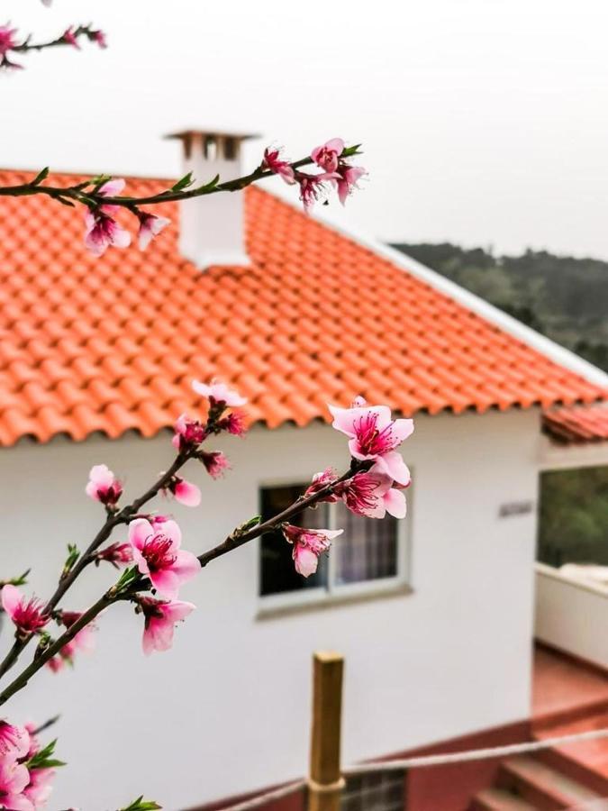O Refugio Villa Coimbra Eksteriør billede